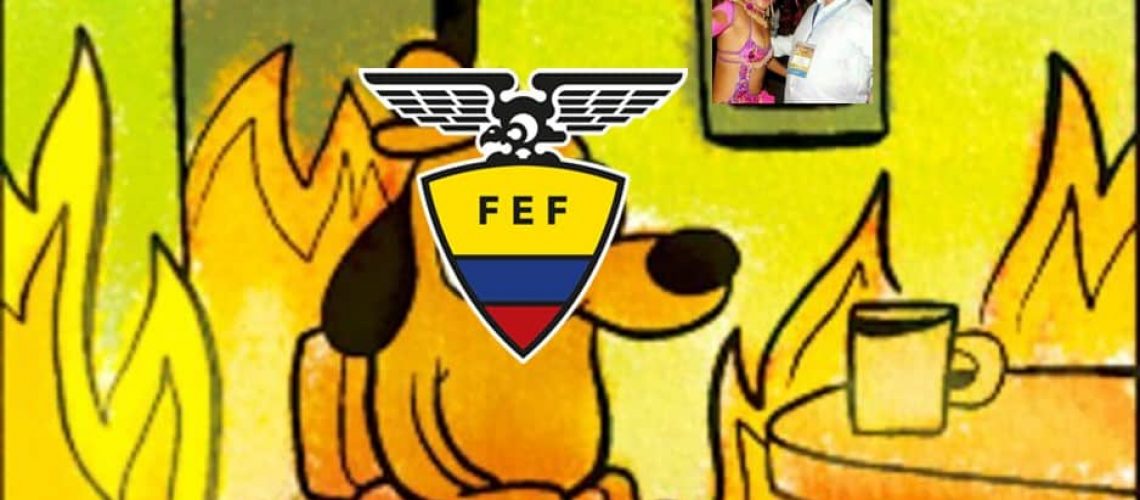 portada-elecciones-fef